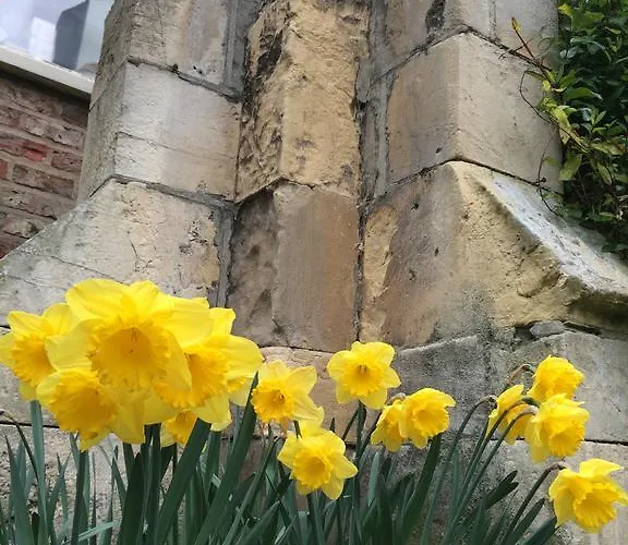 Guest house The Priory 4*